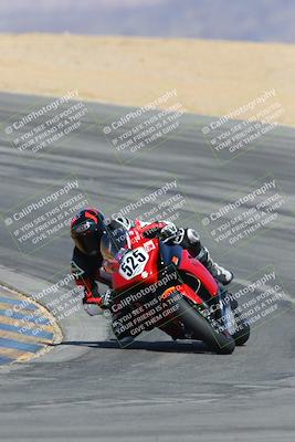 media/Mar-23-2025-CVMA (Sun) [[674f32b282]]/Race 6-Stock 1000 Shootout/